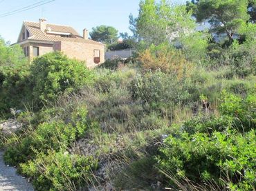 Wohnbaugrundstück zum Verkauf in Carrer de la Figuera