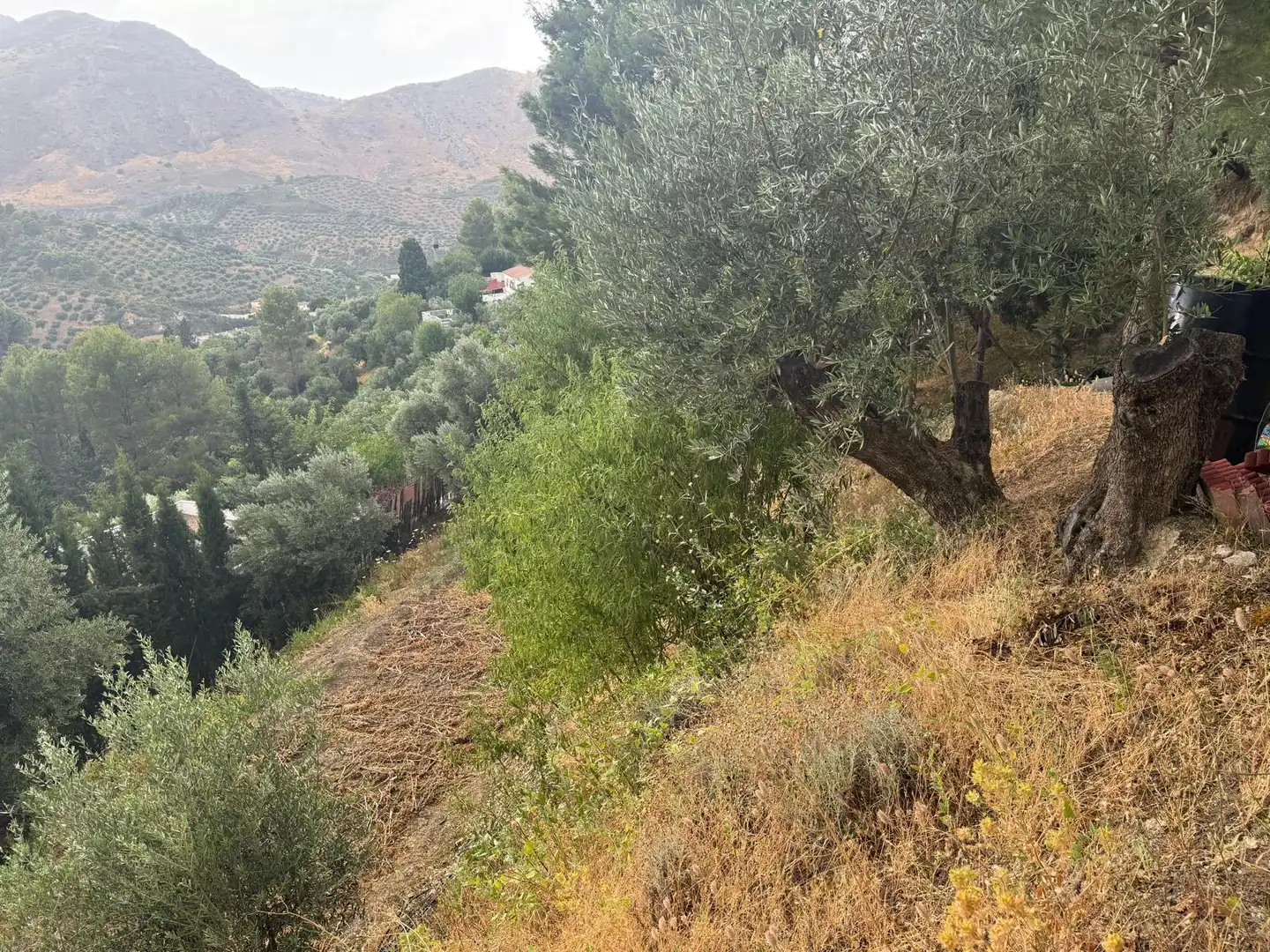Country house zum Verkauf in Jaén mit Privatgarten, Terrasse und Schwimmbad