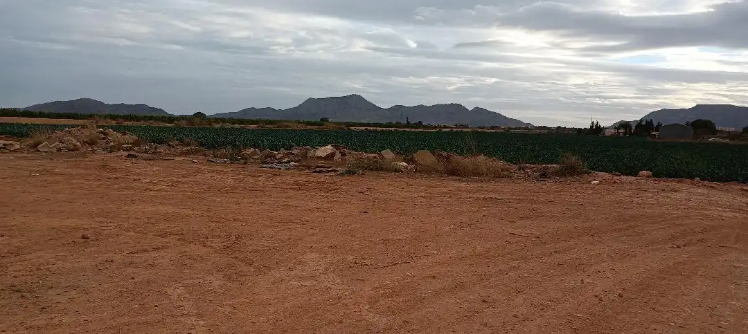 Terreno rústico en venta en Pedanías Oeste, imagen 2