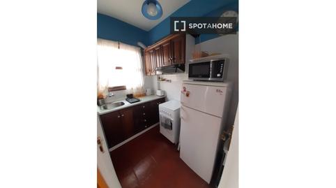 Photo 2 of Study to share in Playa Jardín, Santa Cruz de Tenerife