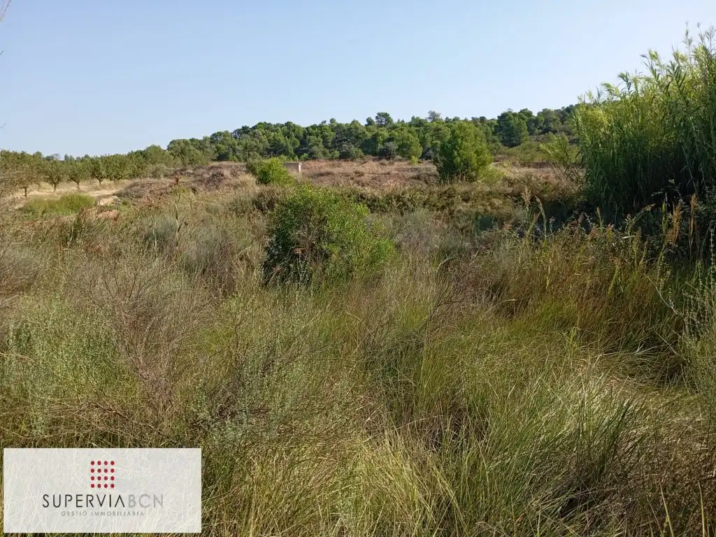 Residencial en venda en Batea