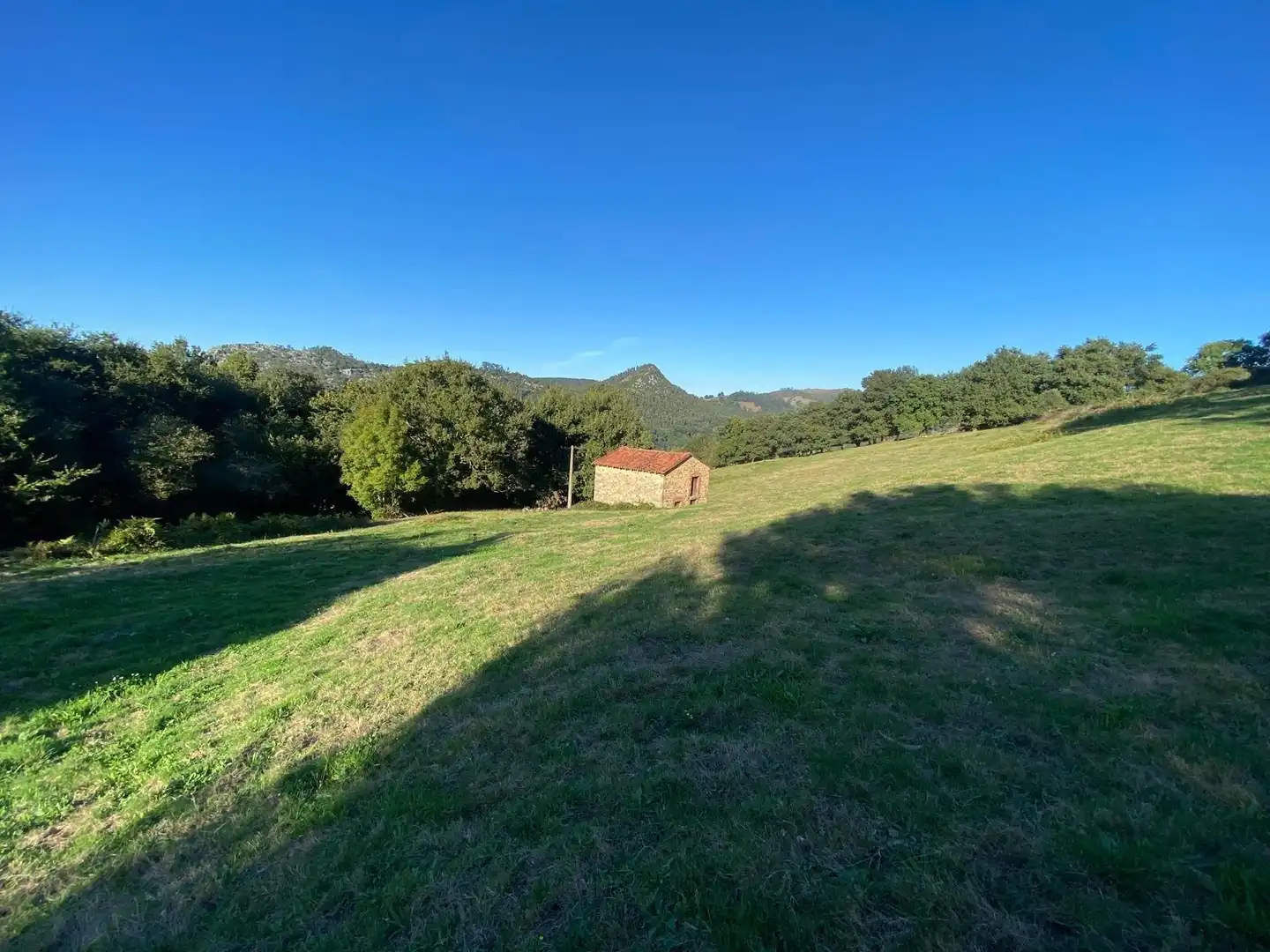 Rural land for sale in Barrio Aes, imagen 17