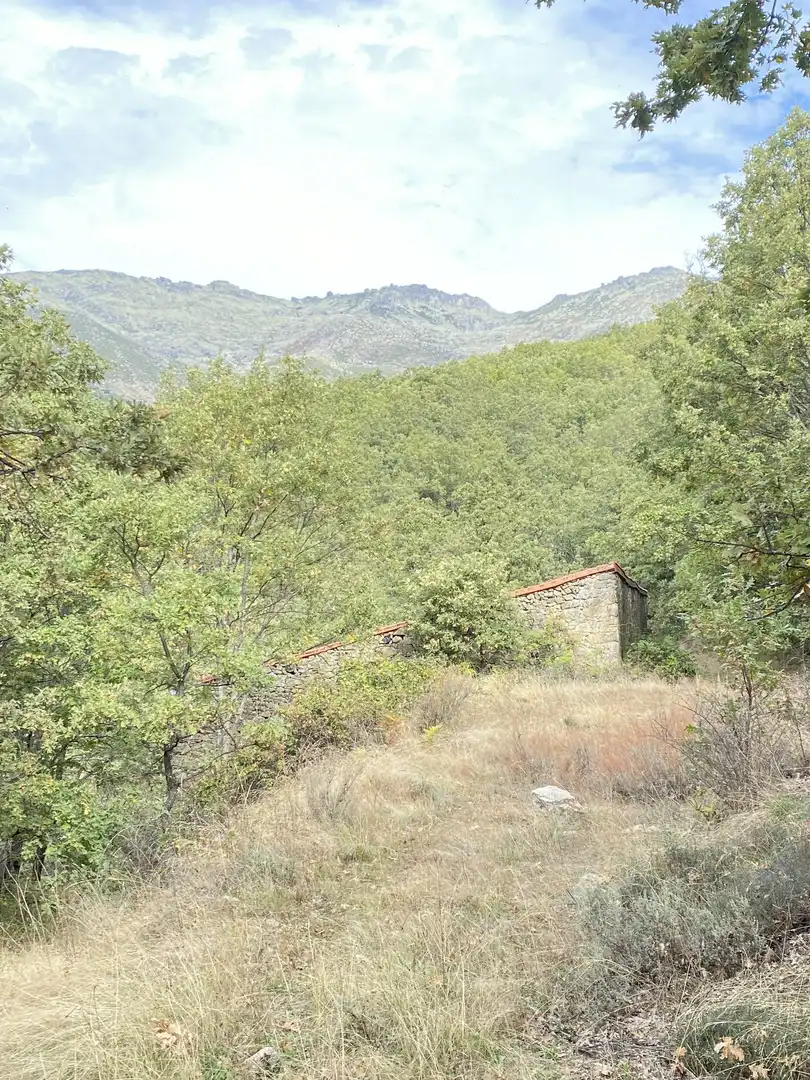 Terreno en venta en Tornavacas