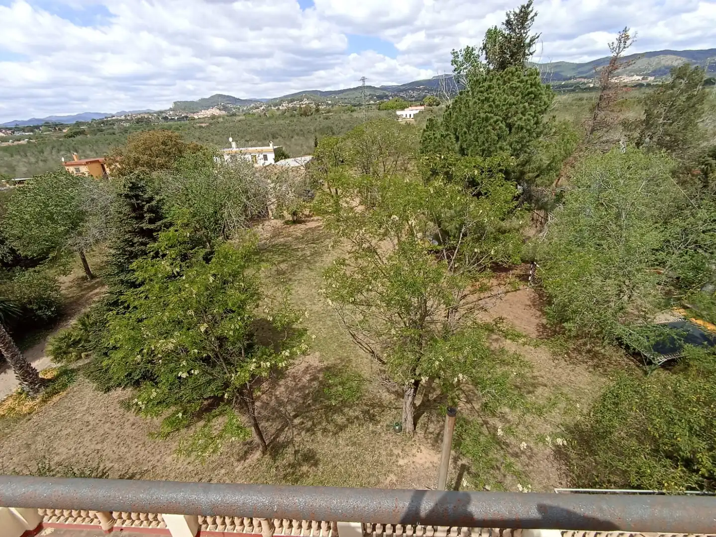 Rural land for sale in Carretera, imagen 18