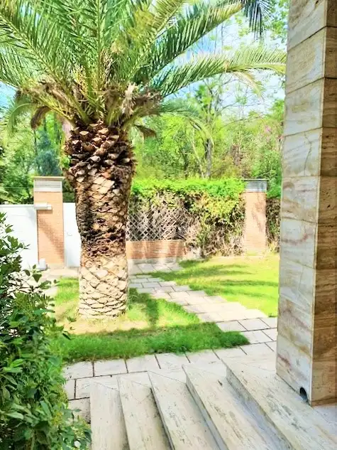 Jardín de Casa o chalet en venta en Aranjuez con Aire acondicionado, Calefacción y Jardín privado