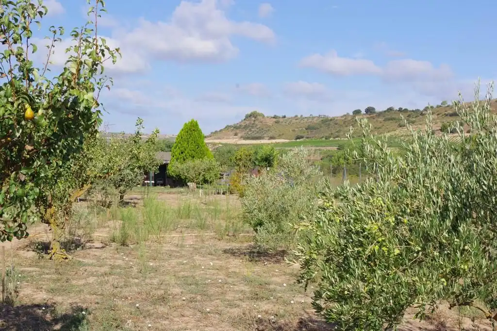 Wohnbaugrundstück zum Verkauf in El Cortijo, imagen 5