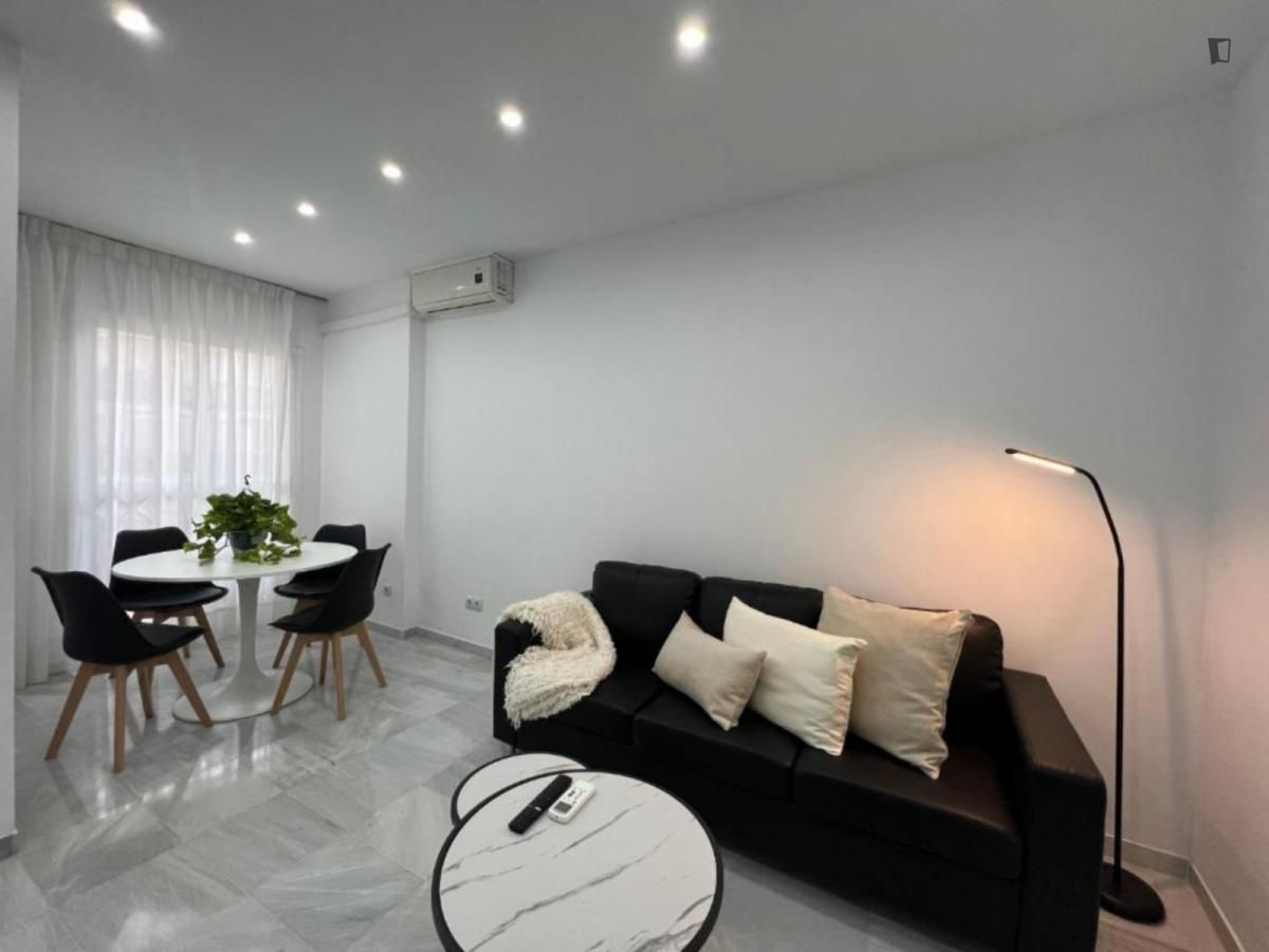 Living room of Apartment to rent in Málaga Capital  with Air Conditioner, Heating and Furnished