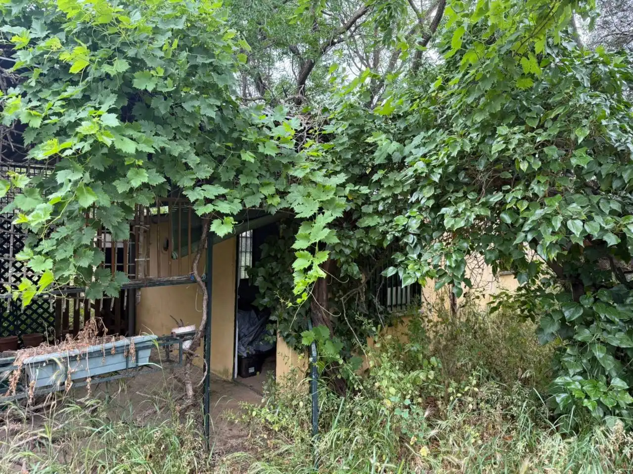 Chalet con jardín en venta en Urbanizacion Tres Palmeras, imagen 2