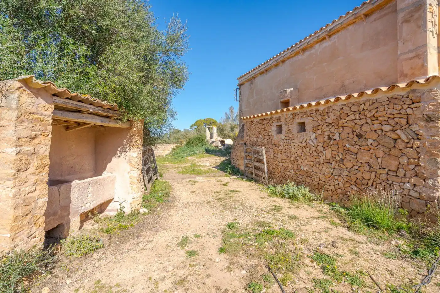 Country house with garden for sale in Llucmajor pueblo, imagen 3