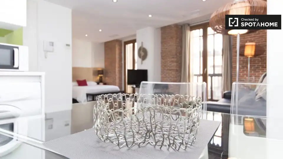 Appartamento con terrazza in affitto a Centro, imagen 8