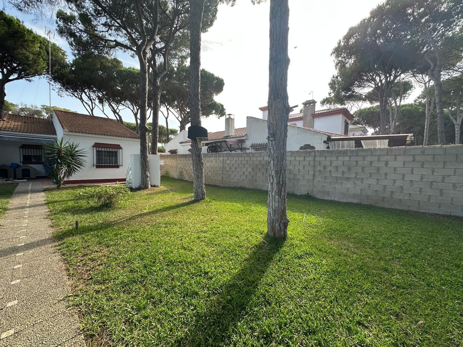 Jardín de Casa o chalet de alquiler en Chiclana de la Frontera con Jardín privado