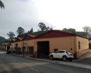 Exterior view of Industrial buildings for sale in Colunga