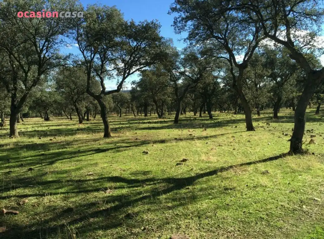 Country homes for sale in Torrecampo