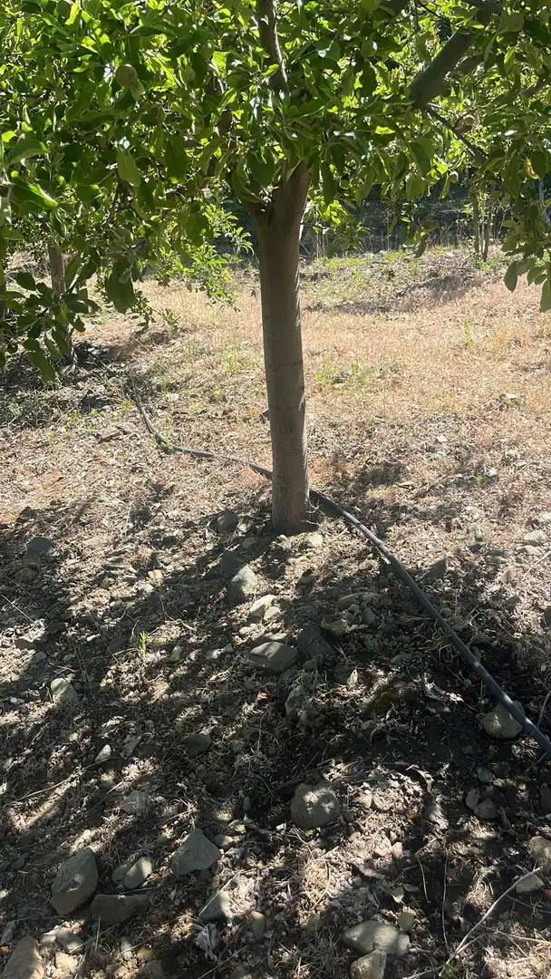 Terreni e lotti in vendita a Nigüelas, imagen 30