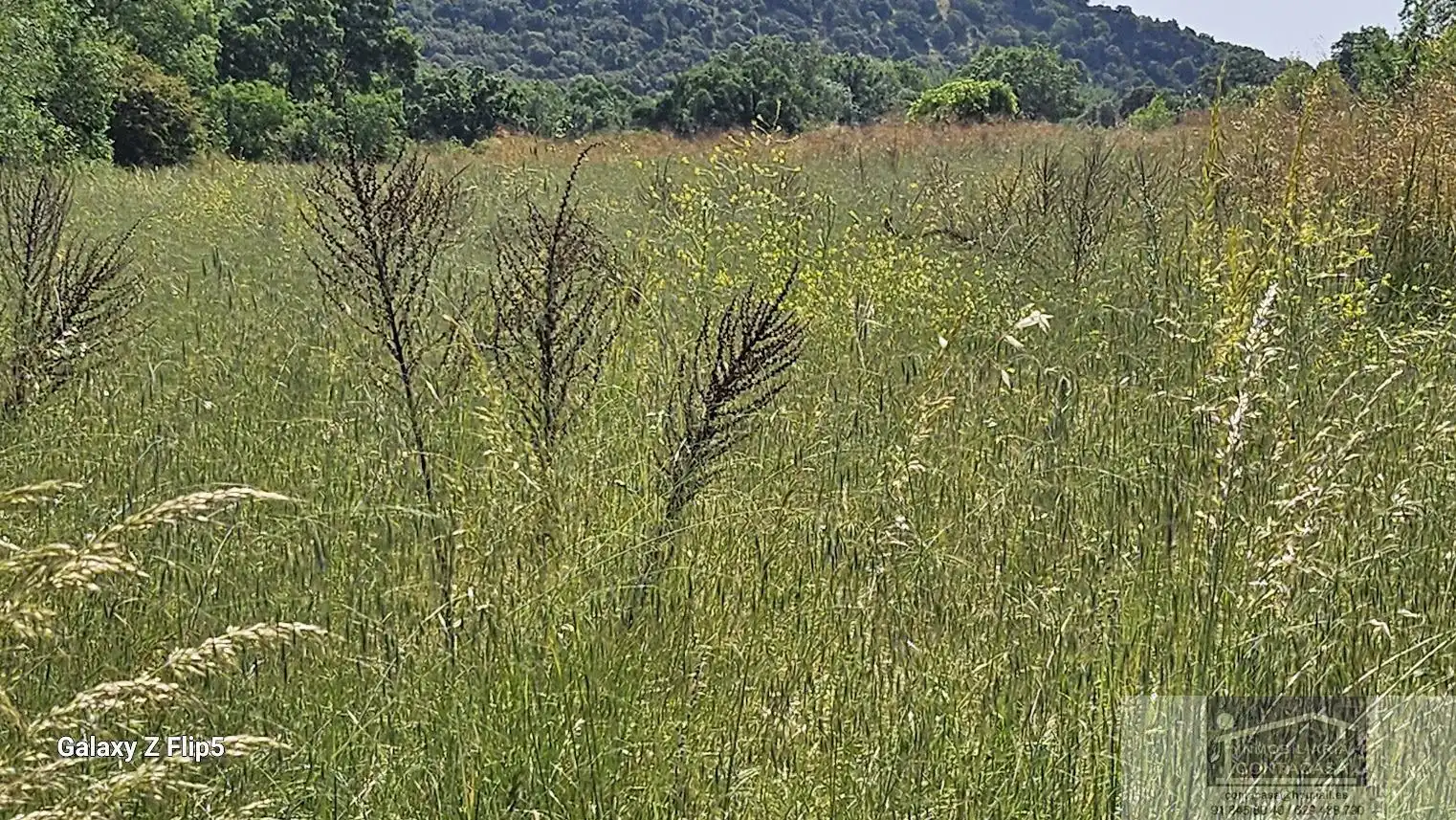 Finca rústica en venda en Miraflores de la Sierra