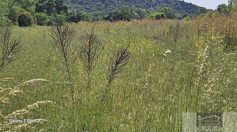 Foto 5 de Finca rústica en venda a Miraflores de la Sierra, Madrid