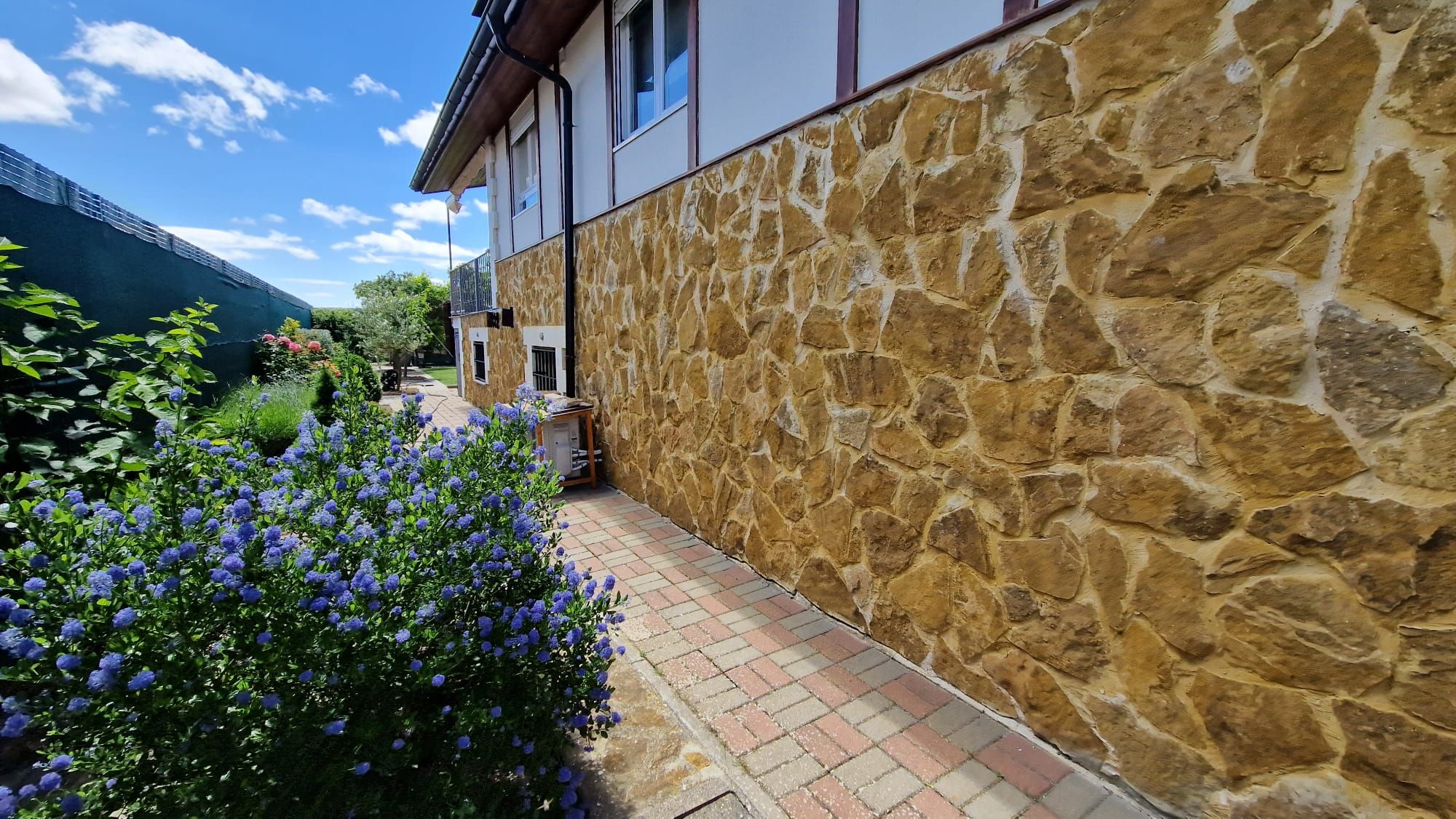 Jardí de Casa o xalet en venda en Carrión de los Condes amb Calefacció, Jardí privat i Terrassa