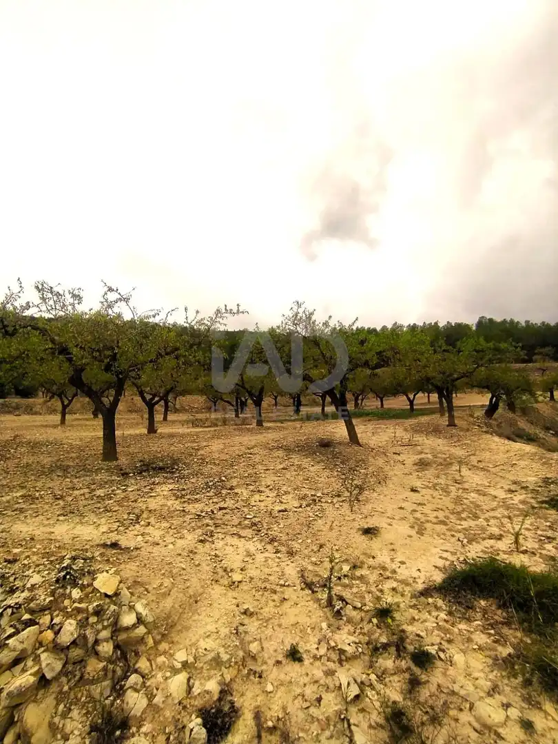 Residential for sale in Ginestar