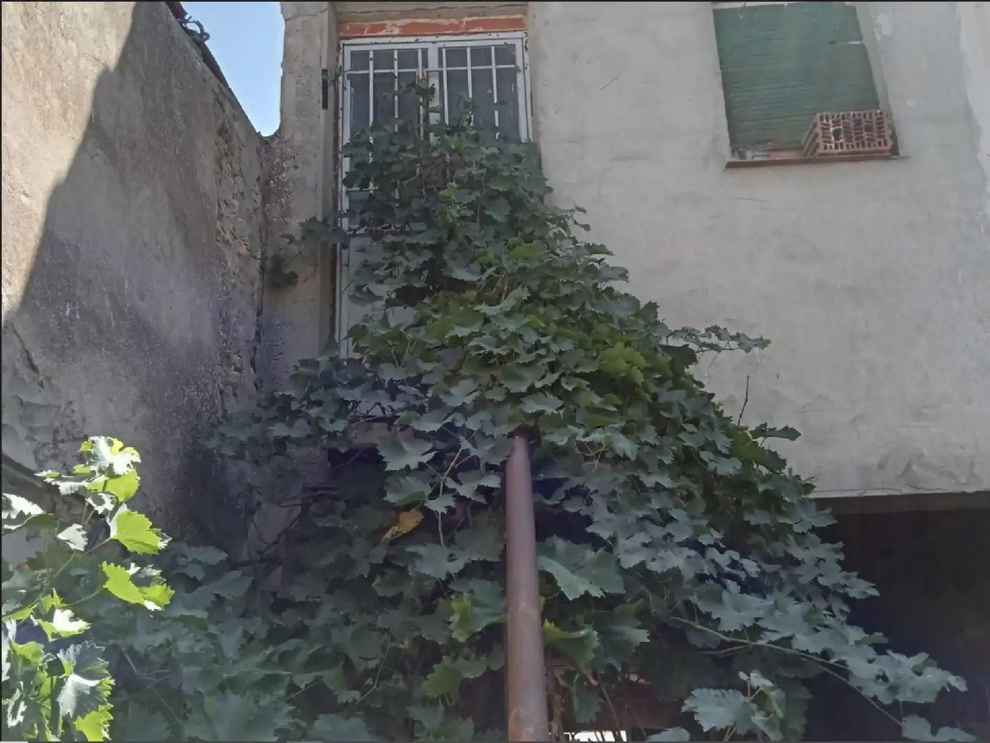 Casa o xalet en venda en Balsa de Ves amb Terrassa