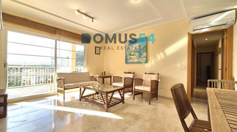 Foto 2 de Pis de lloguer a Port d'Alcúdia - Platja d'Alcúdia, Alcúdia