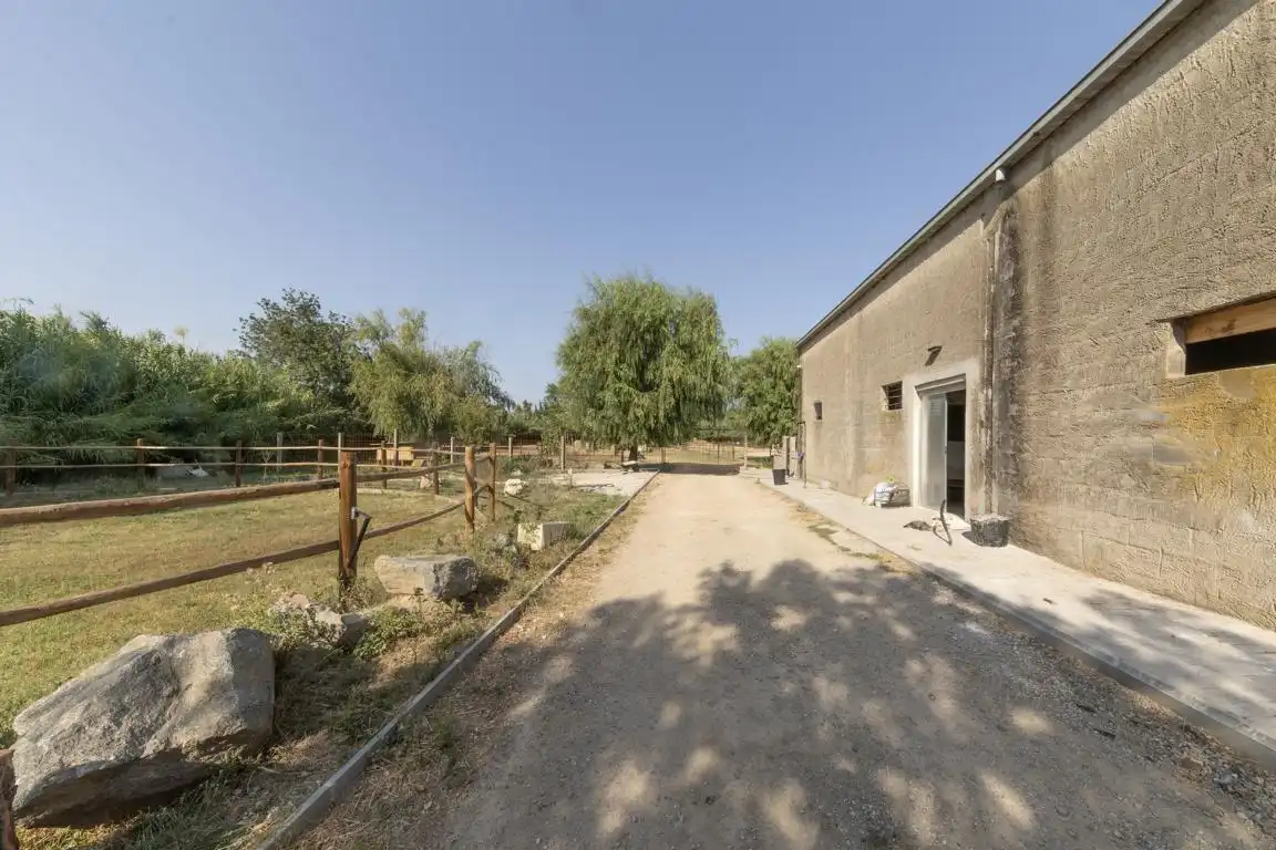 Rural land for sale in Carretera, imagen 19