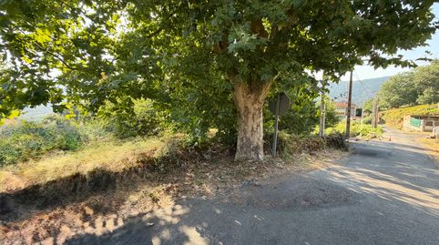 Finca urbanizable a 15 minutos de Ourense ( Barra de Miño ), immagine 5