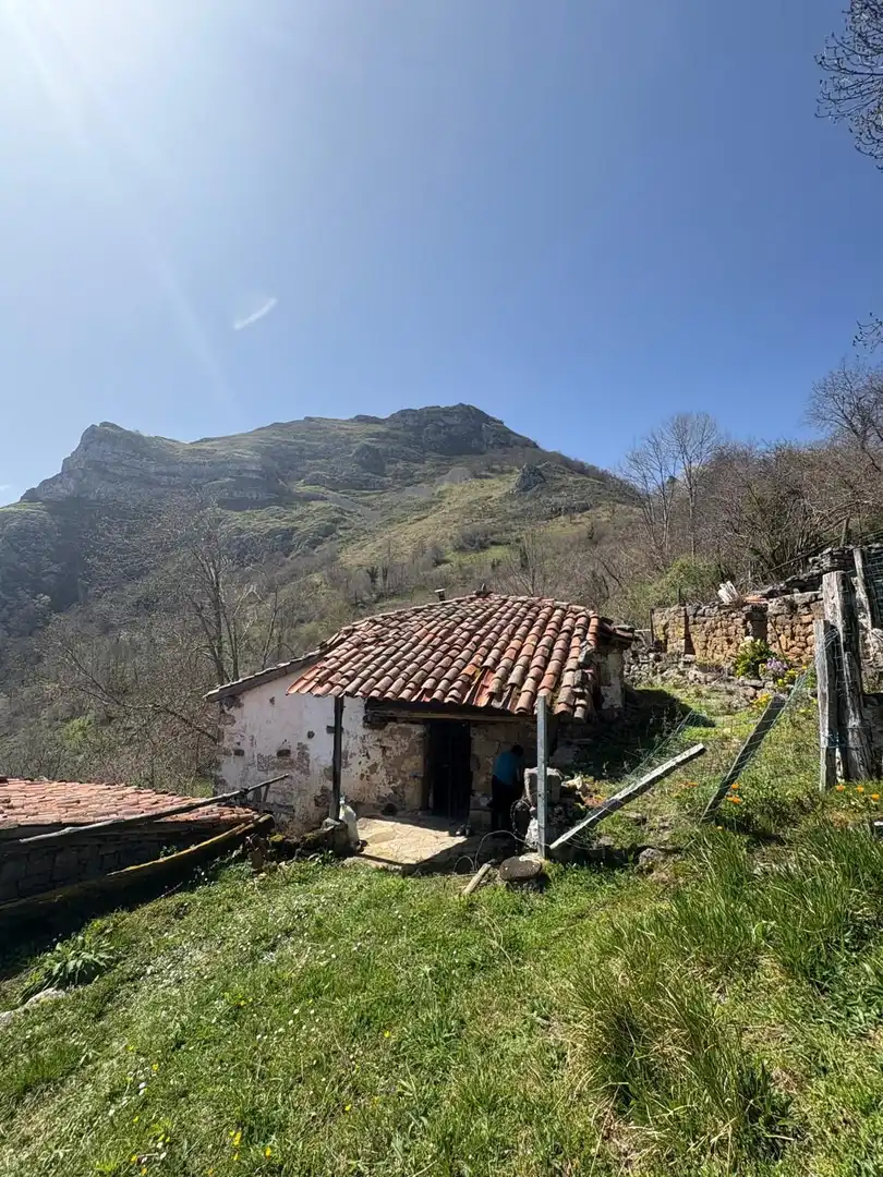 Exterior view of Houses for sale in Ponga