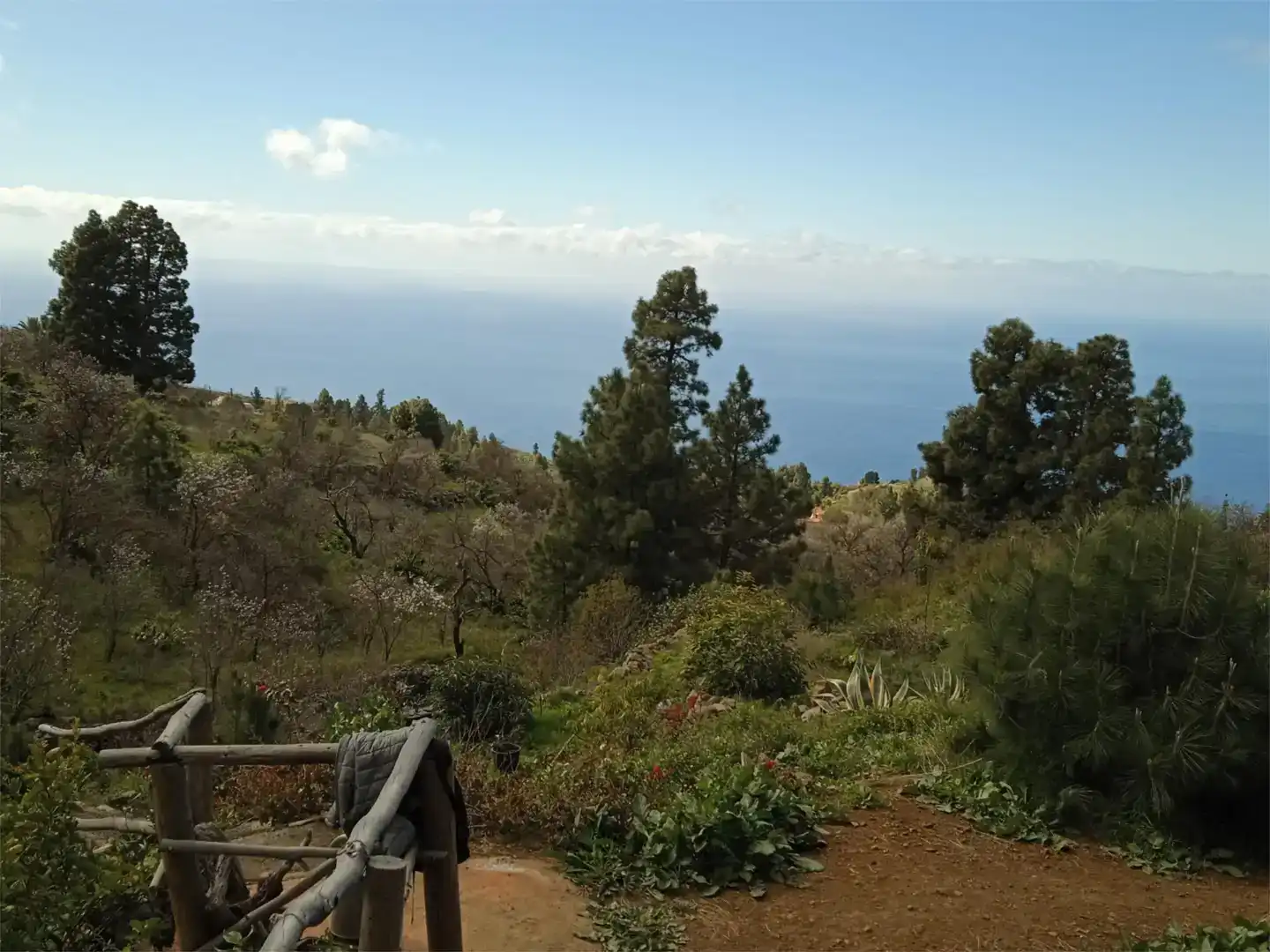 Jardín de Finca rústica en venta en Tijarafe con Jardín privado