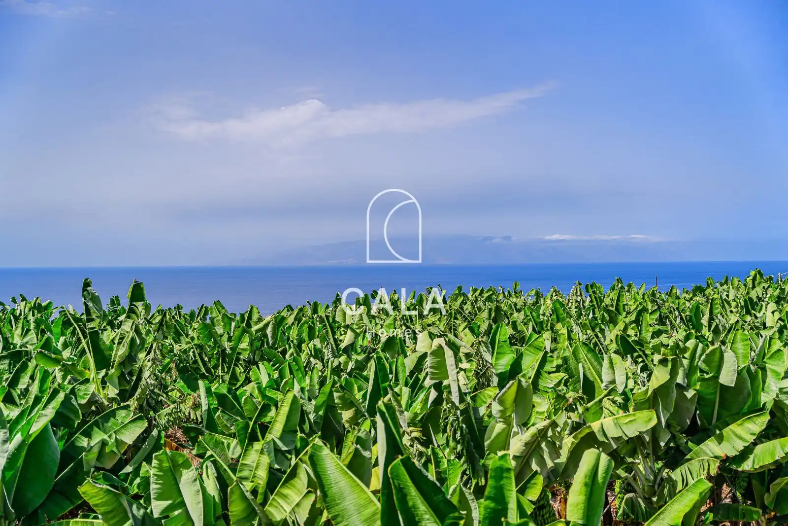 Houses for sale in Marazul - Ricasa