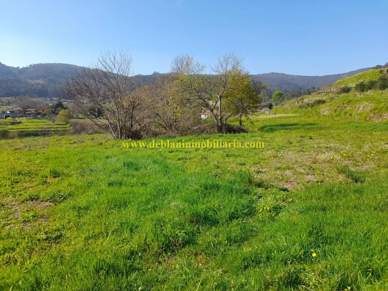 Terreno rústico en venta en Tui