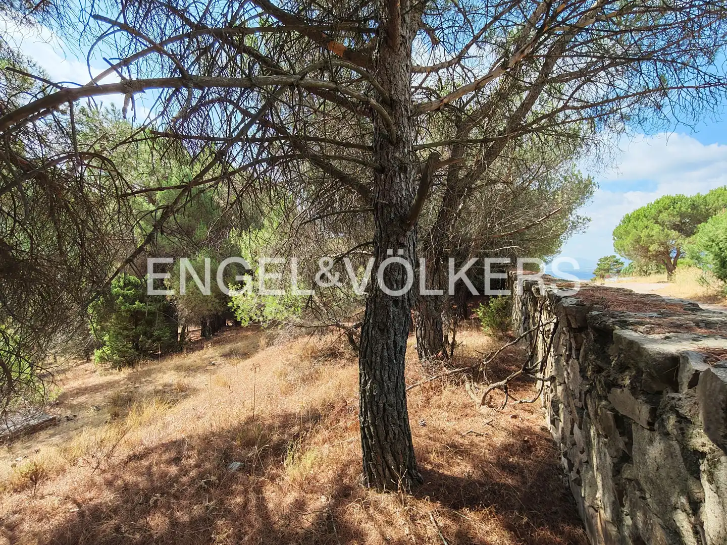 Residential land for sale in Collado Mediano, imagen 14