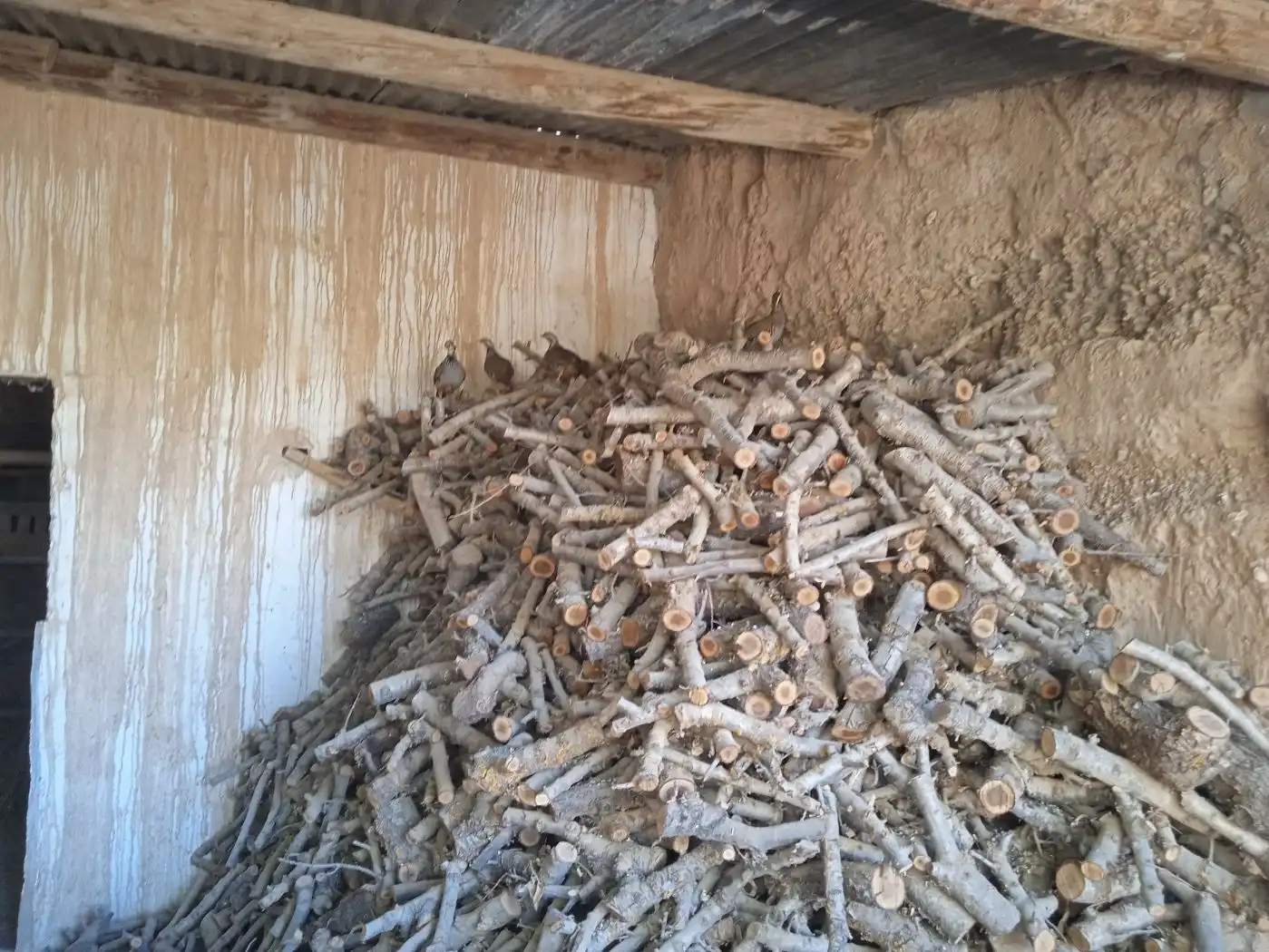 Casa rústica en venda a Freila, imagen 13