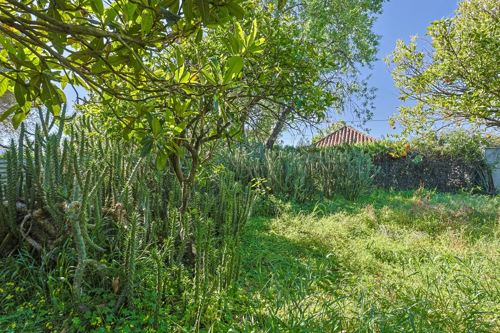 Casa o xalet en venda en Sanlúcar la Mayor amb Aire condicionat i Piscina