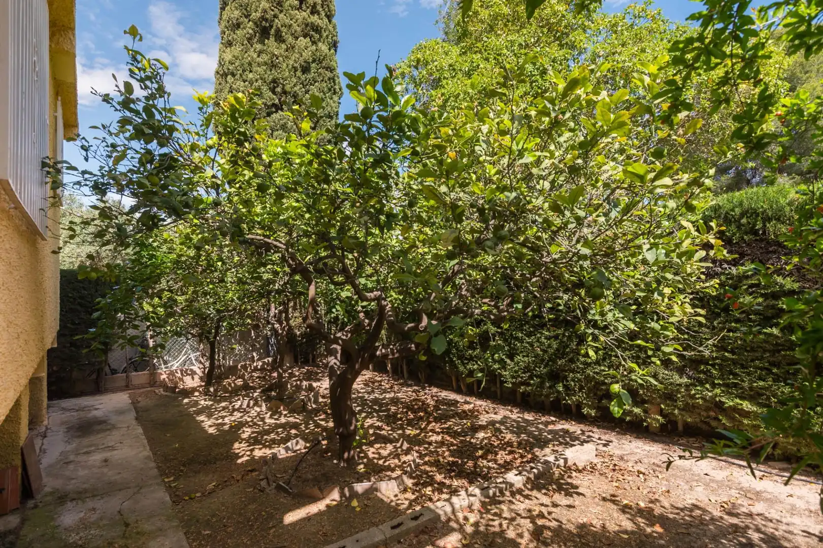 Jardí de Casa o xalet en venda en Molina de Segura amb Aire condicionat, Calefacció i Jardí privat