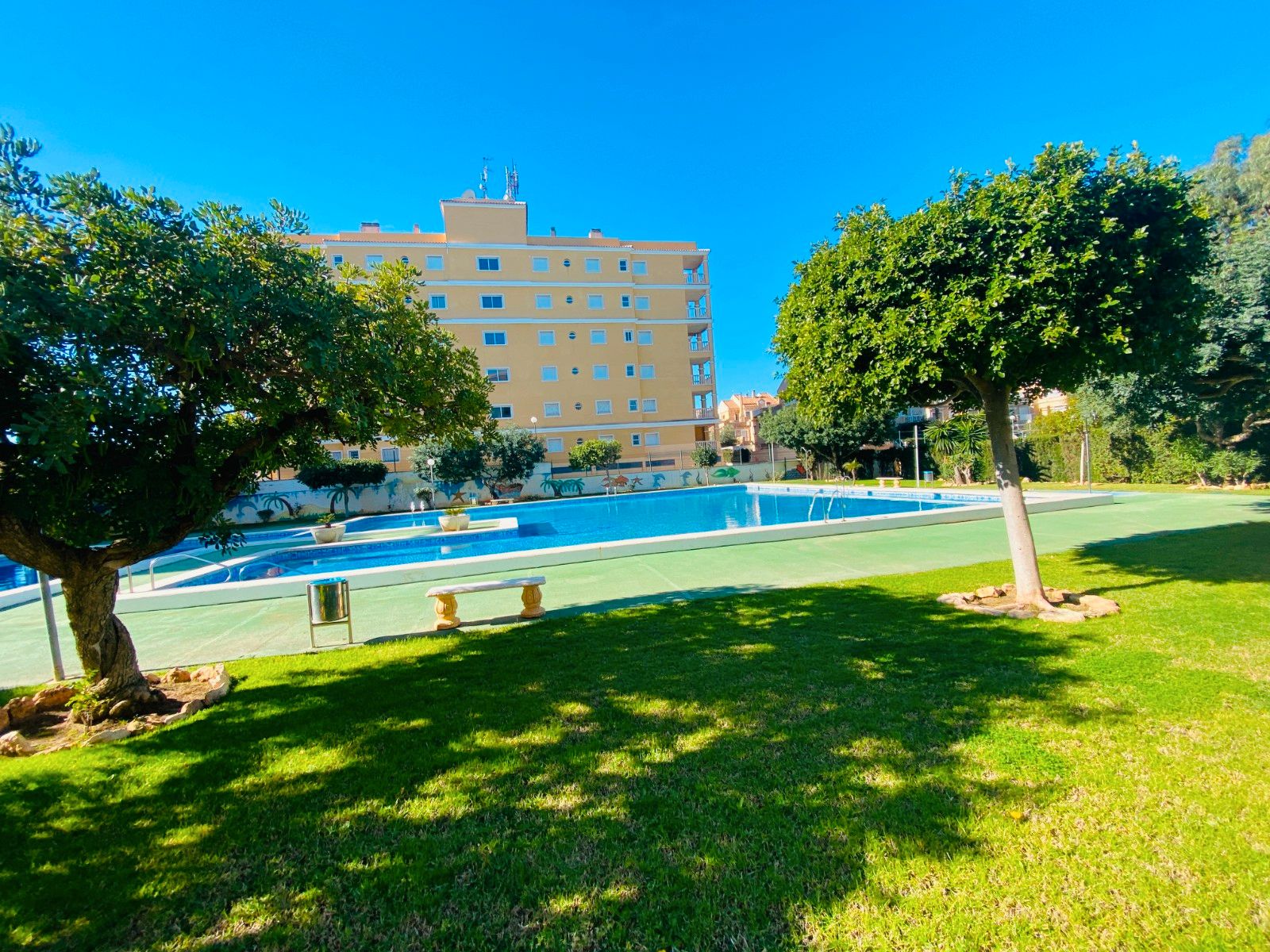 Piscina de Apartament en venda en Torrevieja amb Terrassa, Rentadora i Internet