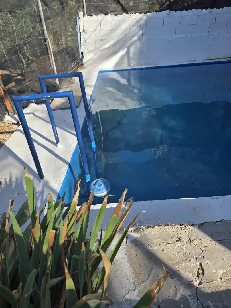 Xalet amb piscina en venda a Calle NARANJOS, imagen 4