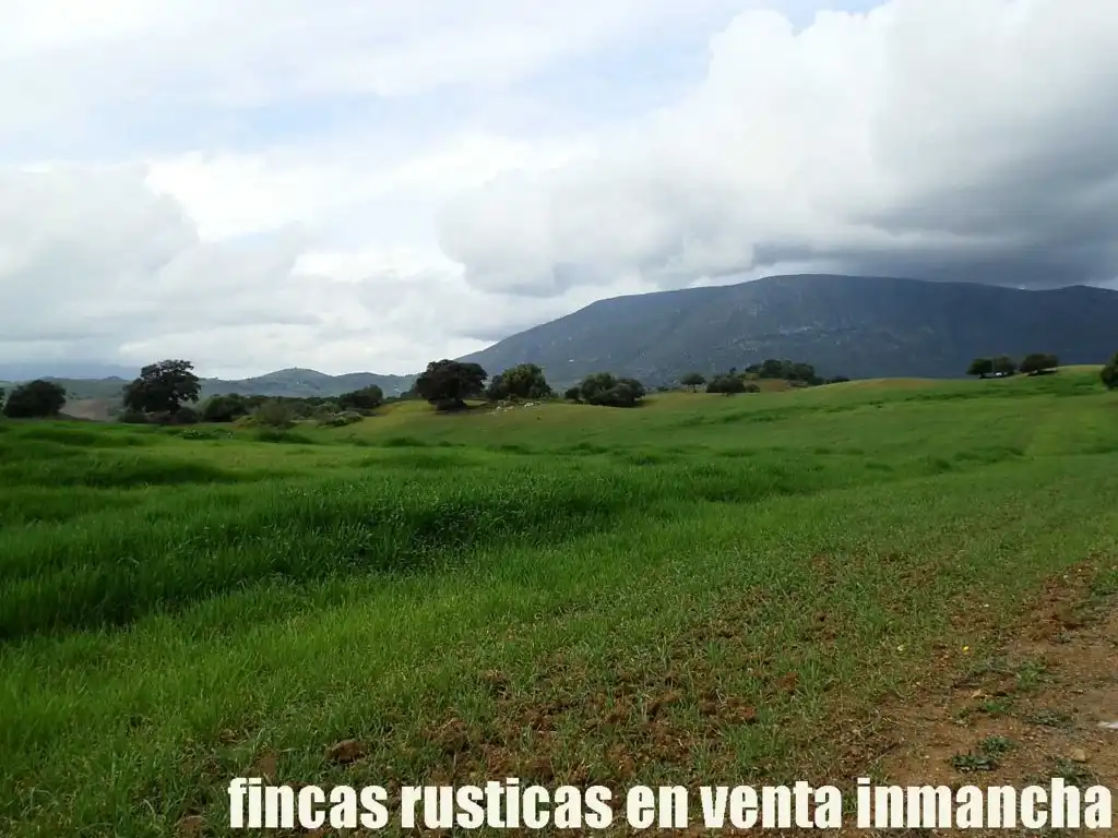 Terreno rustico in vendita a Algodonales, imagen 20
