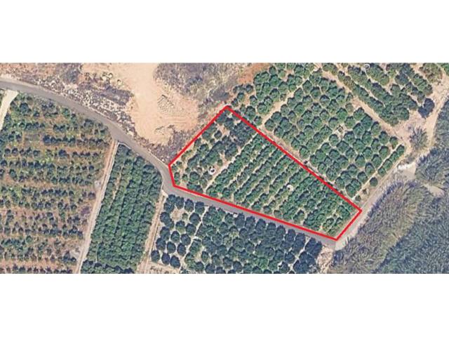 Terreno en Venta en Travesia Tarrocha en Palma de Gandia