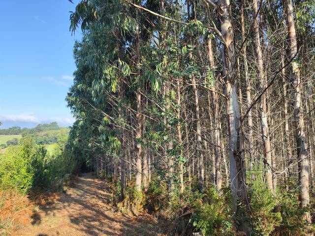 Terreno en Venta en Dumbría