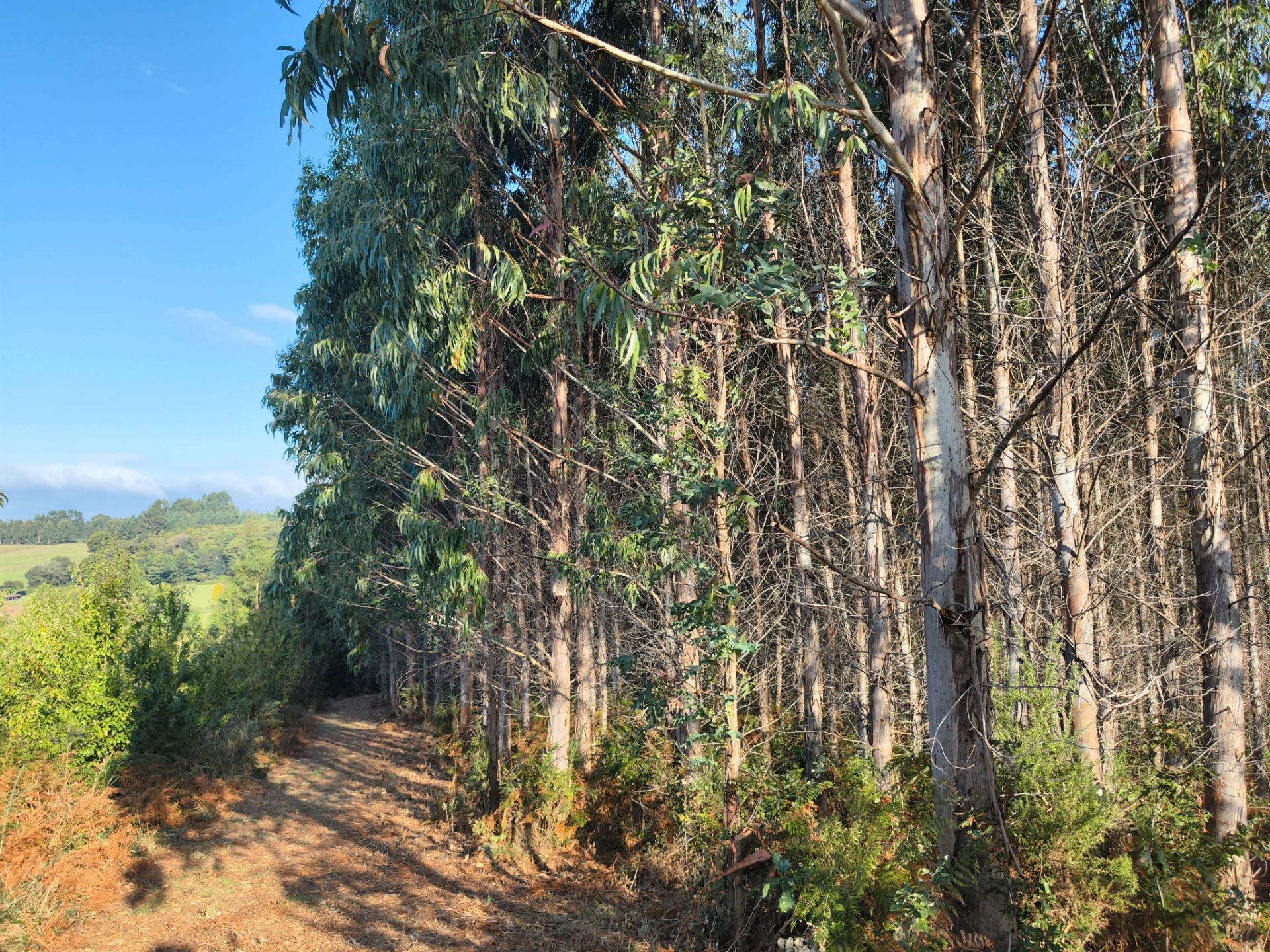 Vista exterior de Terreno en venta en Dumbría
