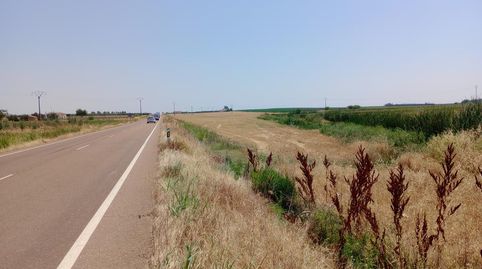 FINCA RUSTICA CON FACHADA A LA CARRETERA, immagine 5