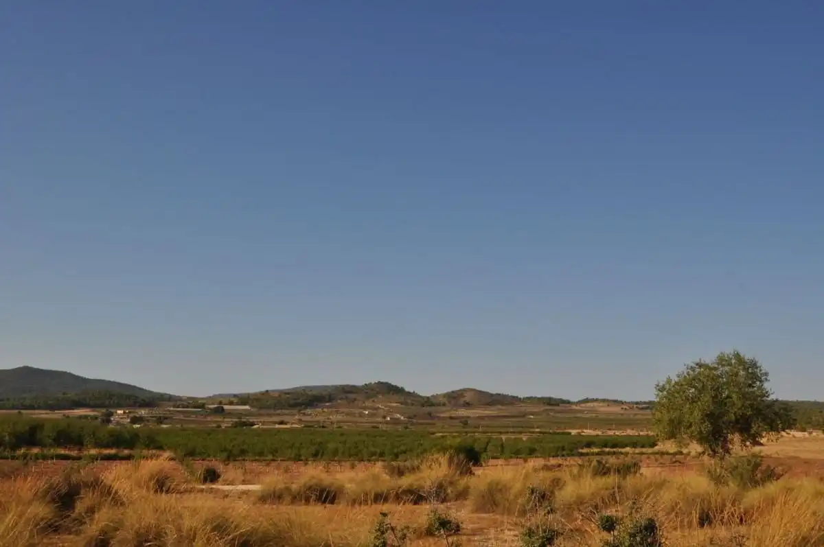 Chalet con piscina en venta en El Pinós / Pinoso, imagen 18