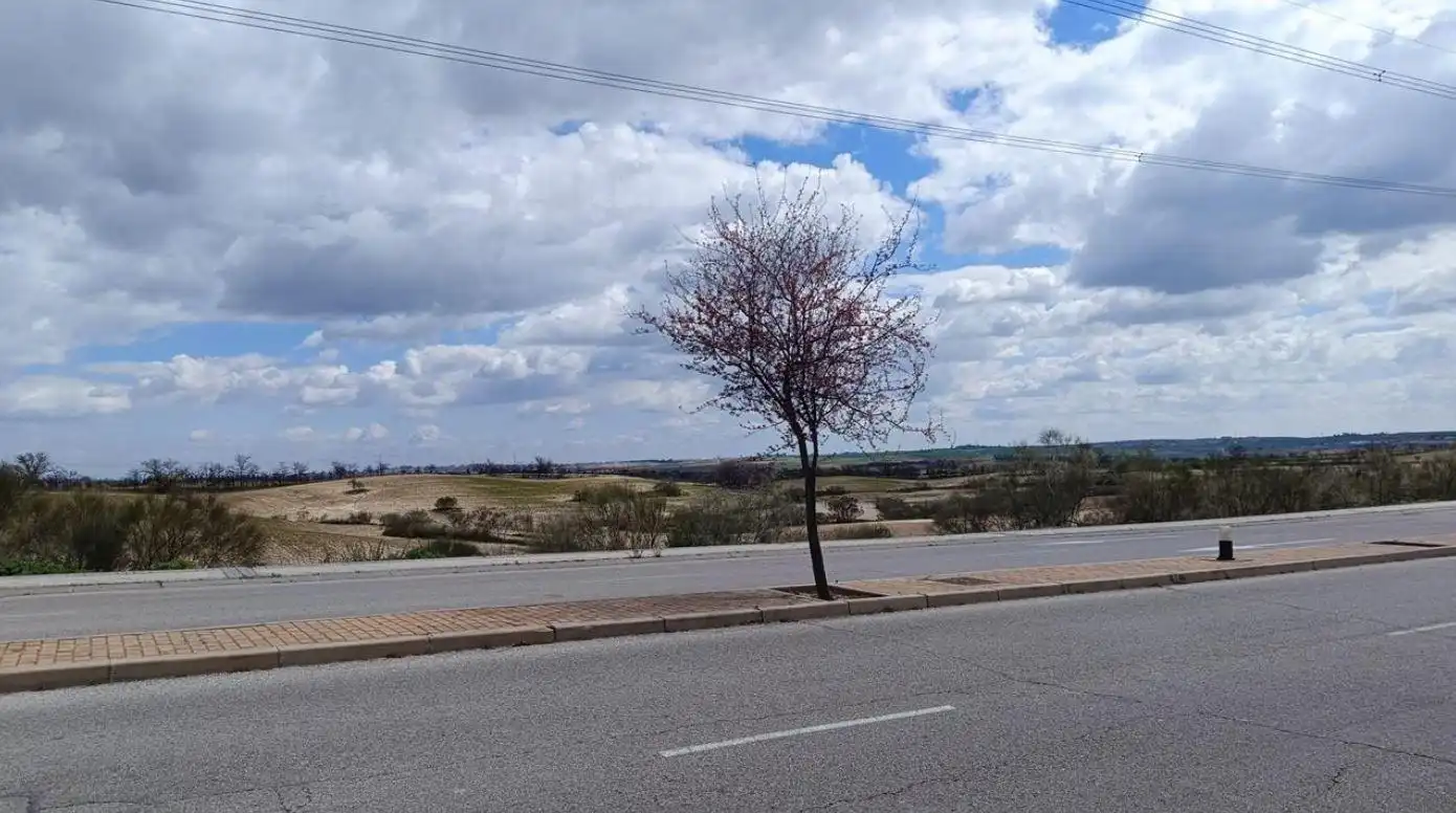 Adosado con jardín en venta en Calle SANTOÑA 49, imagen 6