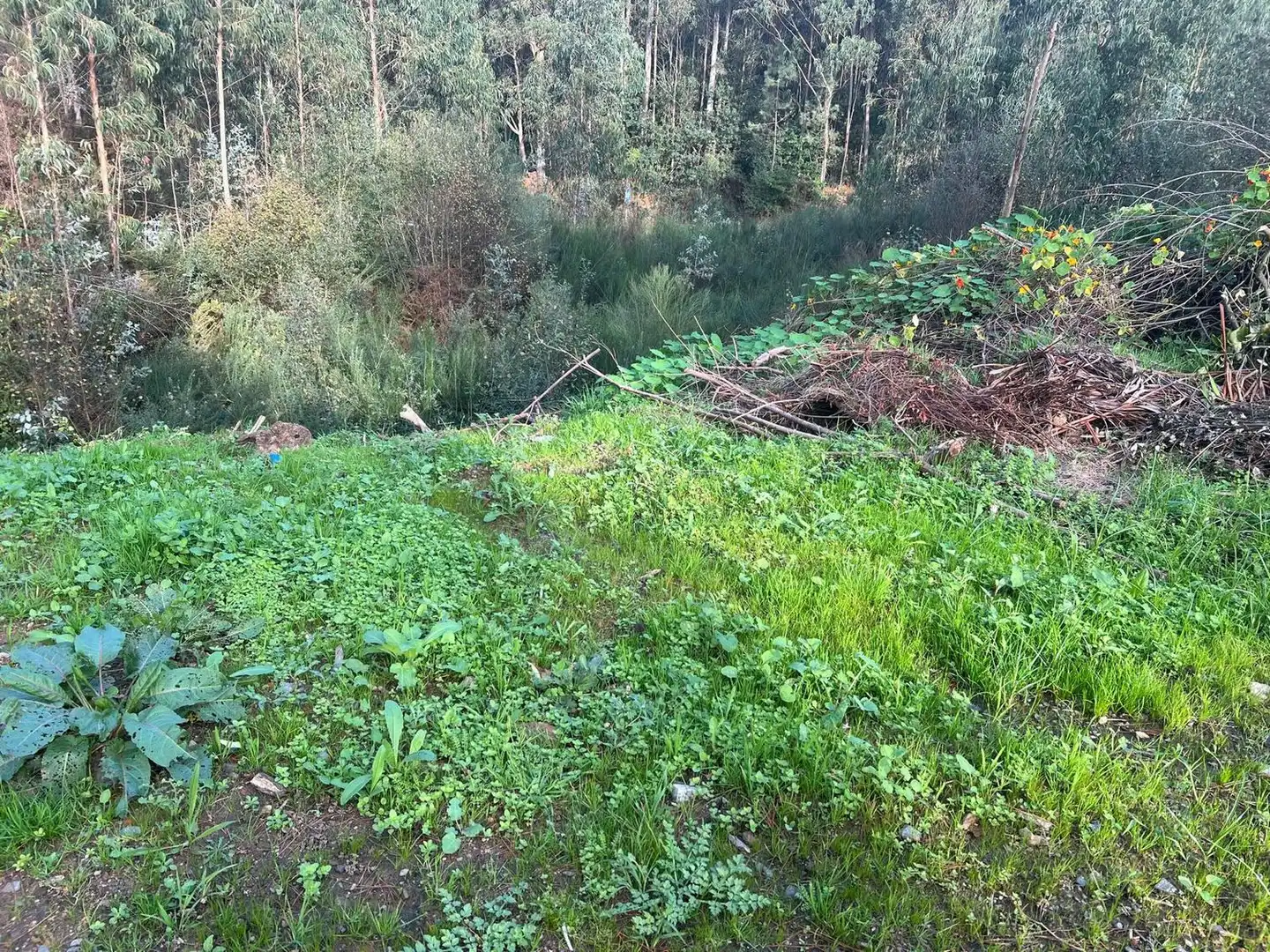 Casa rústica en venta en Lugar Silvalonga, imagen 6