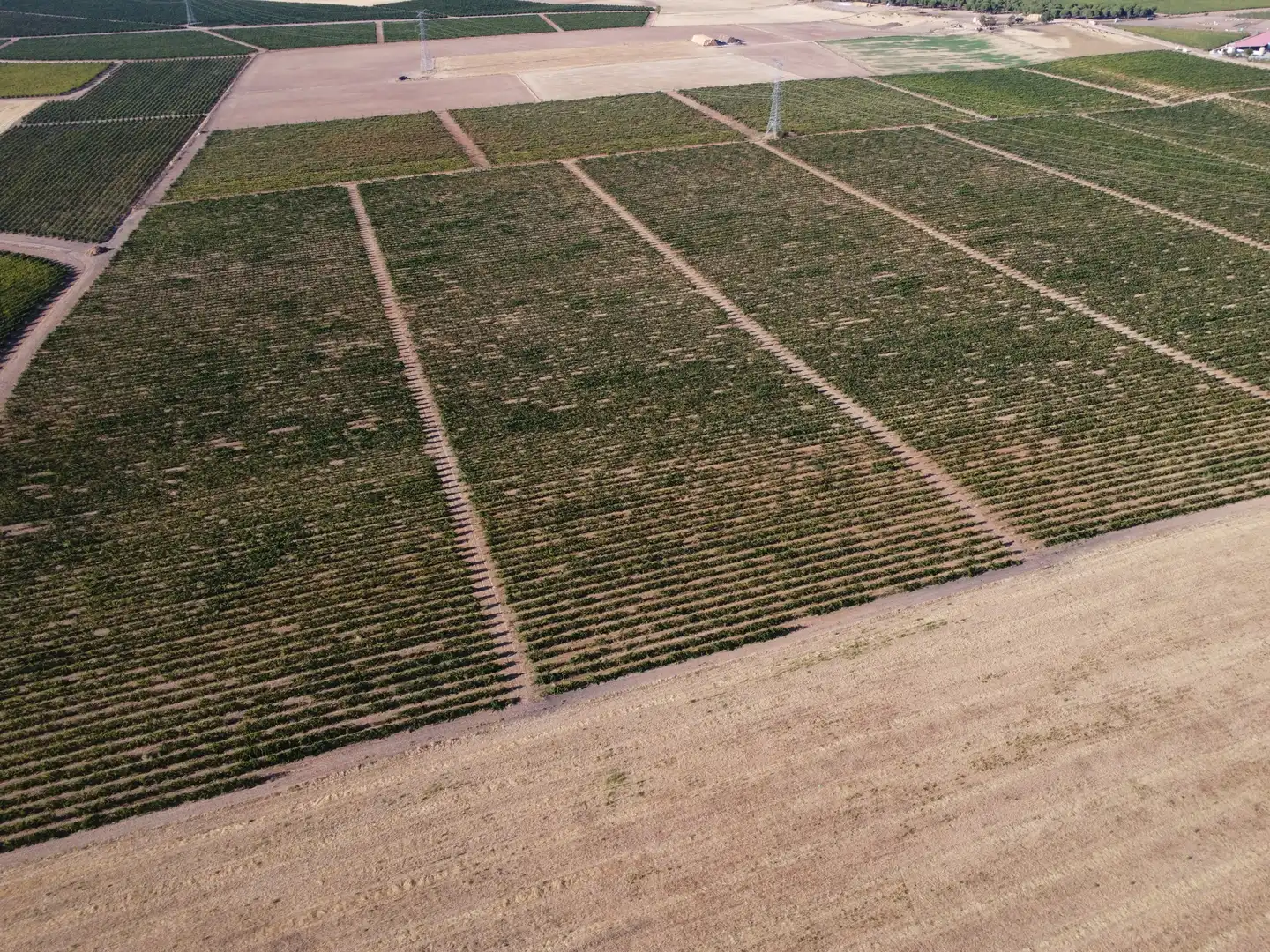Terreno rustico in vendita a Rueda, imagen 16