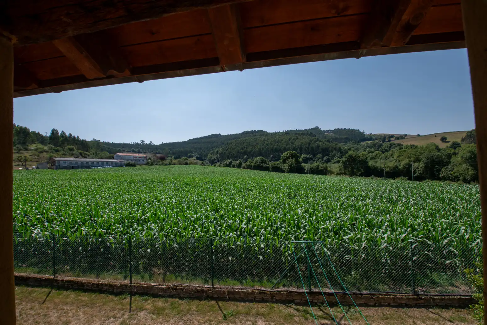 Jardí de Casa o xalet en venda en Villaviciosa amb Calefacció, Jardí privat i Terrassa