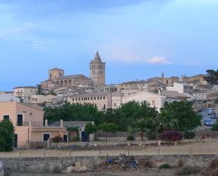 Vista exterior de Edifici en venda en Sineu amb Piscina comunitària