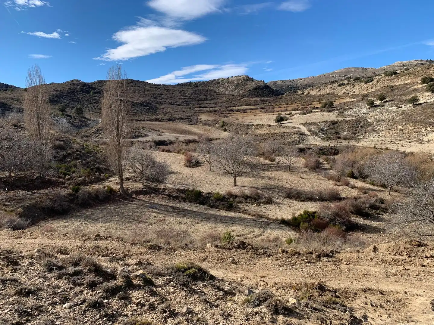 Terreny en venda en Nerpio