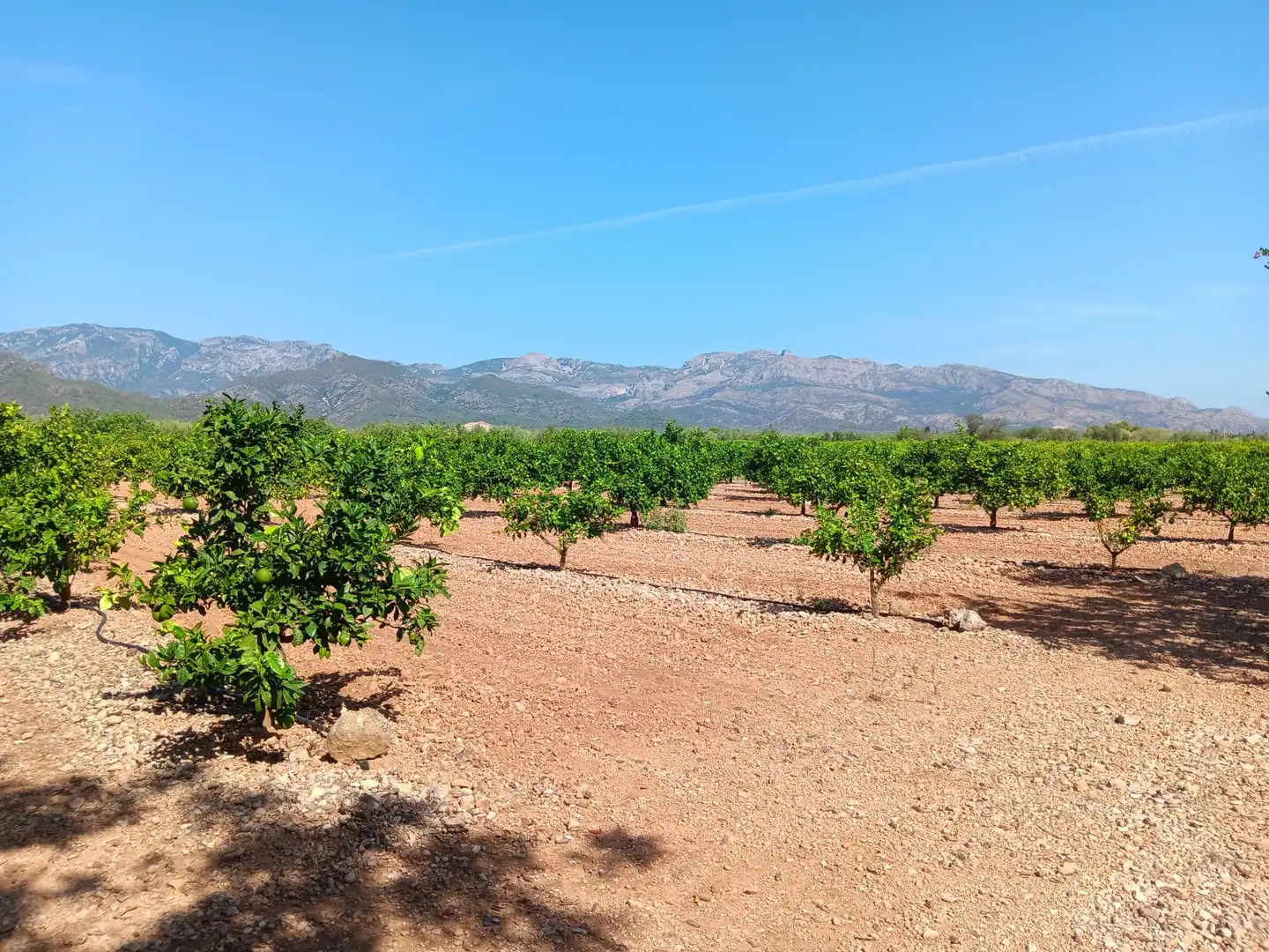 Lands and plots for sale in Roquetes, imagen 32