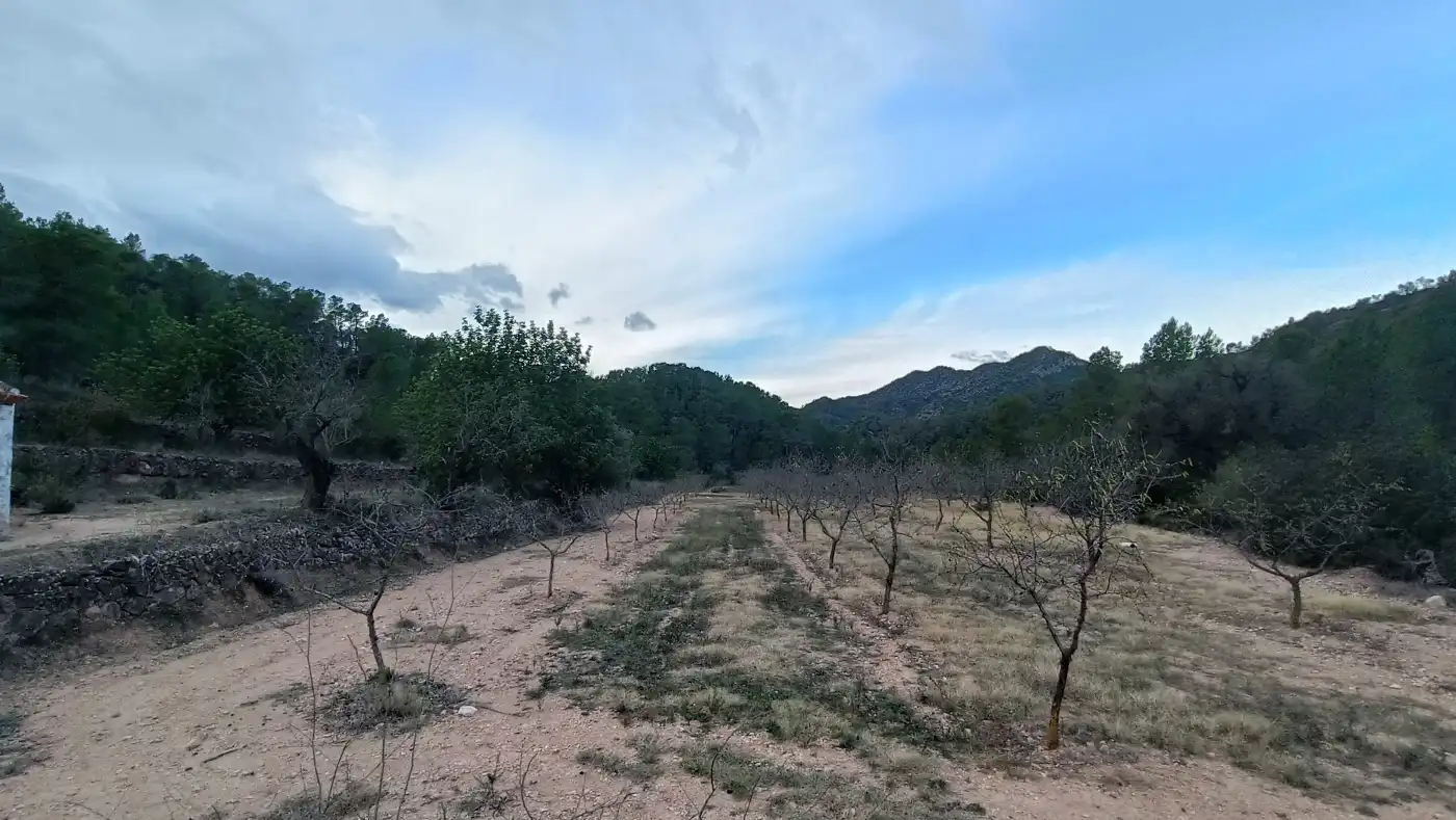 Terreny rústic en venda a Miravet, imagen 4